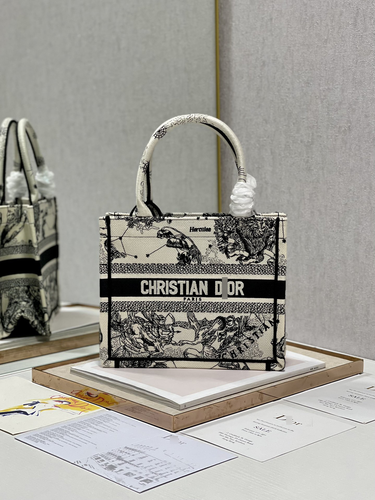 ディオールBOOK TOTE スモールバッグ トワル ドゥ ジュイ ゾディアック エンブロイダリー M1265ZRHZ_M941 詳細画像 1
