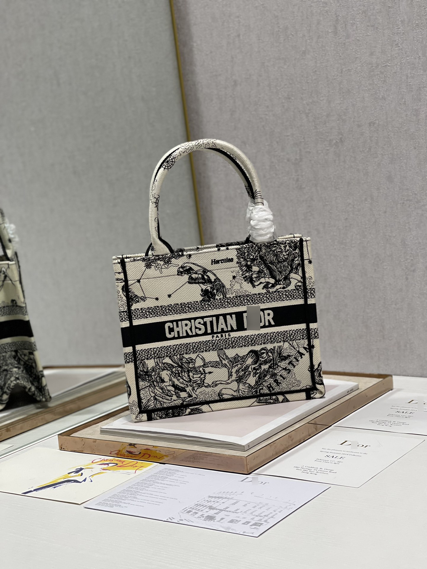 ディオールBOOK TOTE スモールバッグ トワル ドゥ ジュイ ゾディアック エンブロイダリー M1265ZRHZ_M941 詳細画像 2