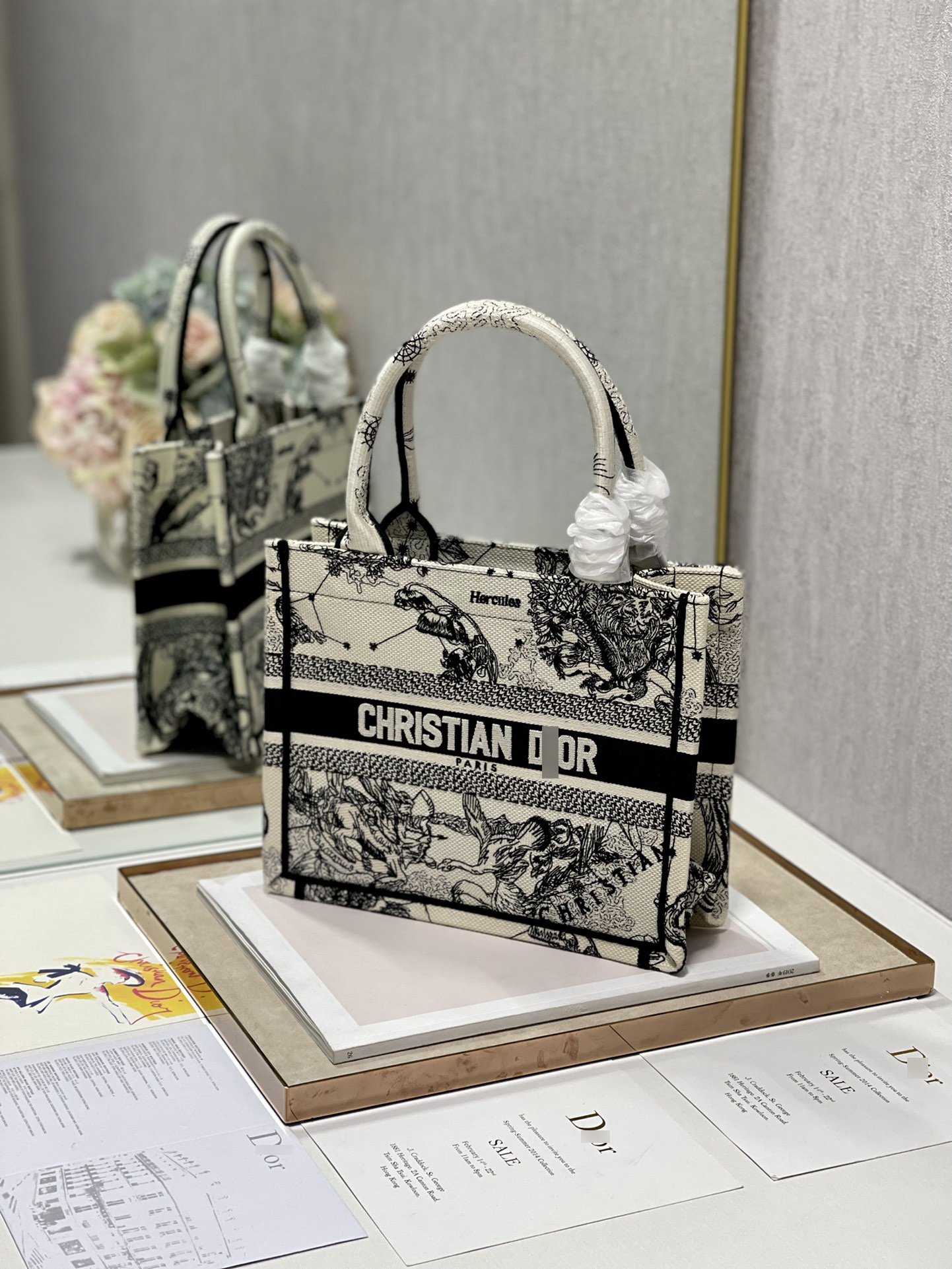 ディオールBOOK TOTE スモールバッグ トワル ドゥ ジュイ ゾディアック エンブロイダリー M1265ZRHZ_M941 詳細画像 3