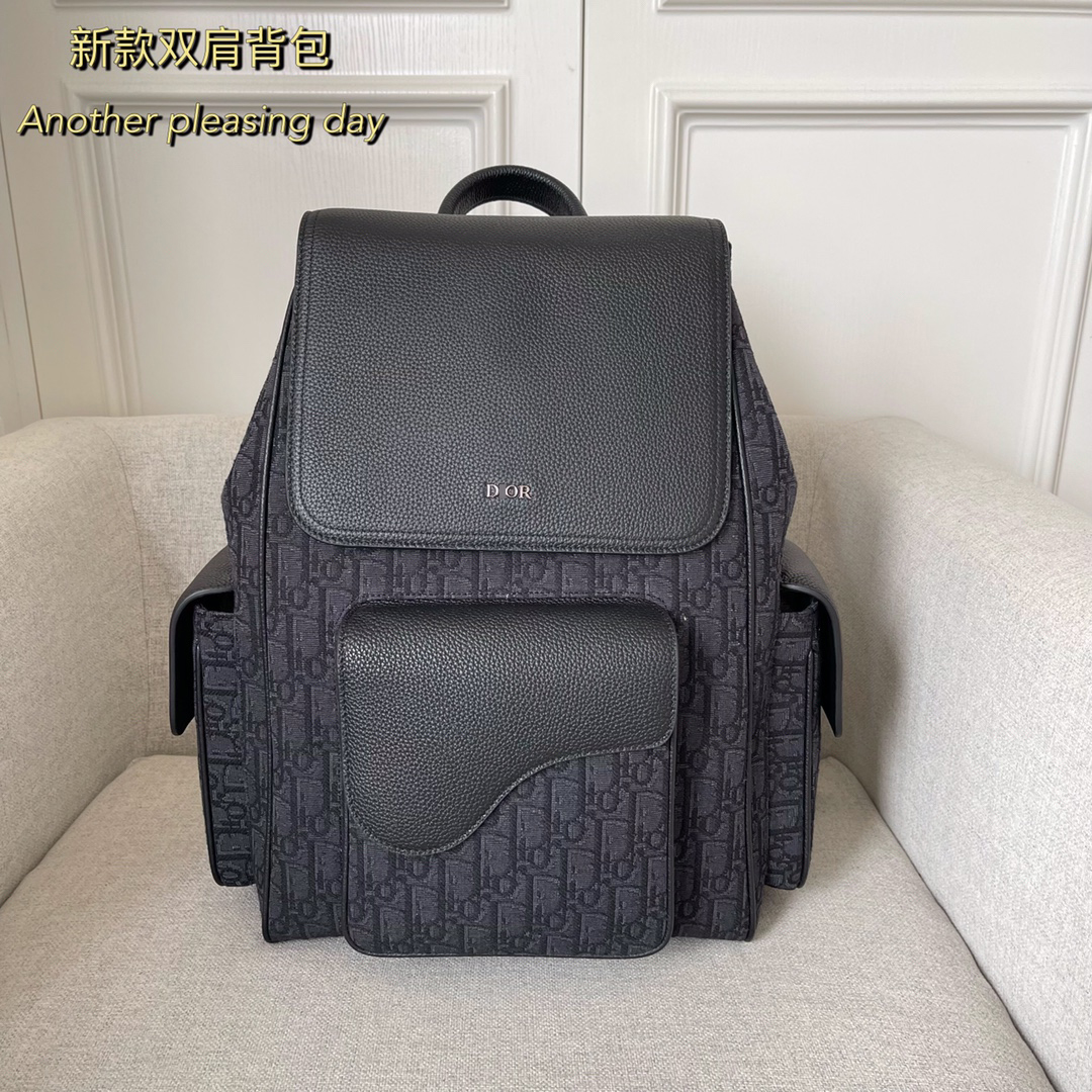 ディオールSADDLE バックパック 1ADBA161YKS_H03E 詳細画像 1