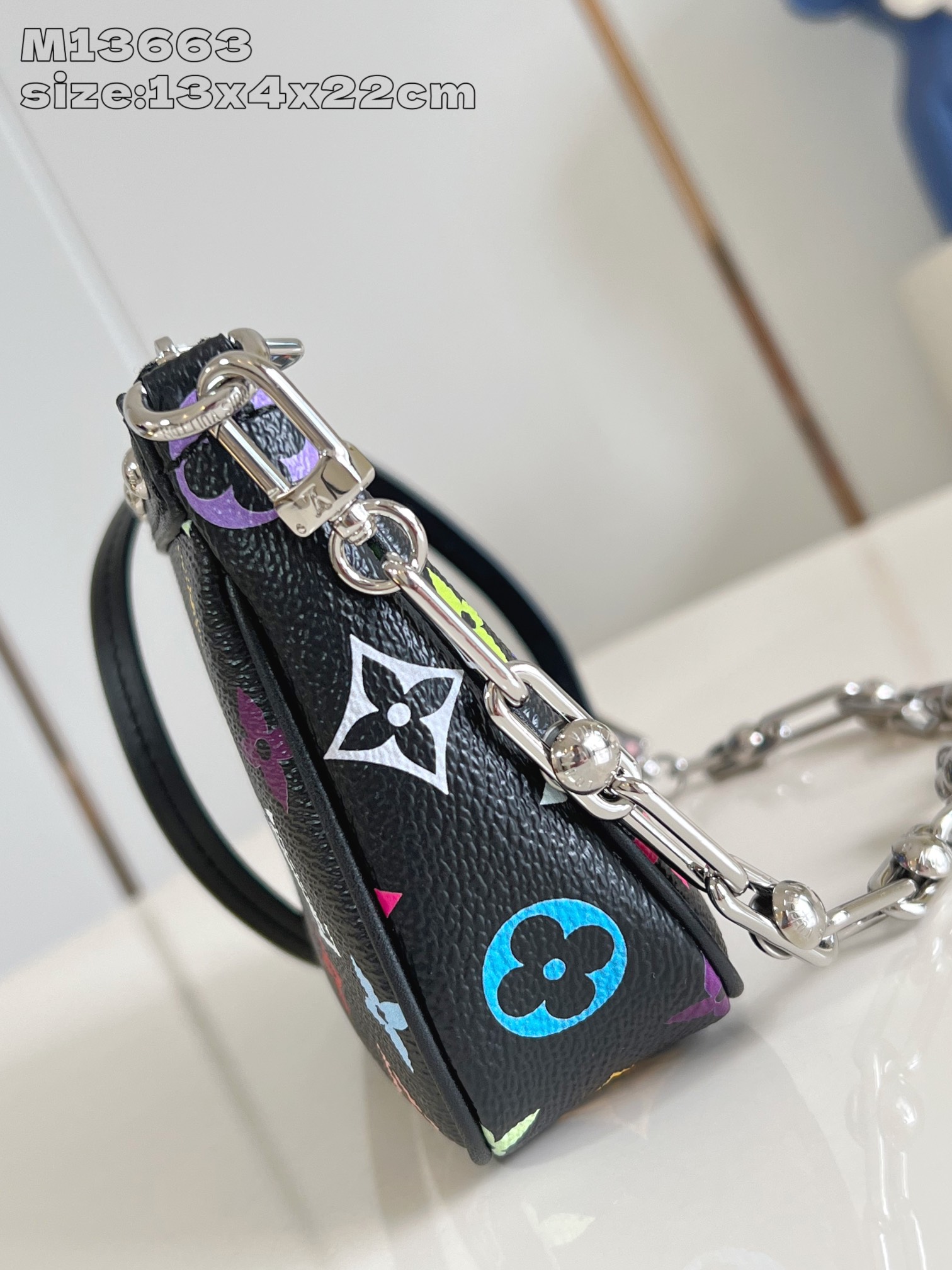 ルイヴィトン LV x TM ポシェット アクセソワール その他 キャンバス M13663 詳細画像 3