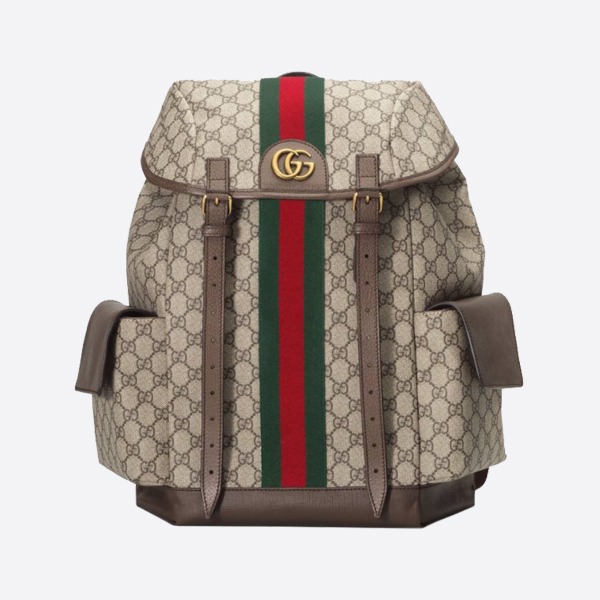 グッチ【オフィディア】ミディアムサイズGGバックパック598140HUHAT 8564 画像 1