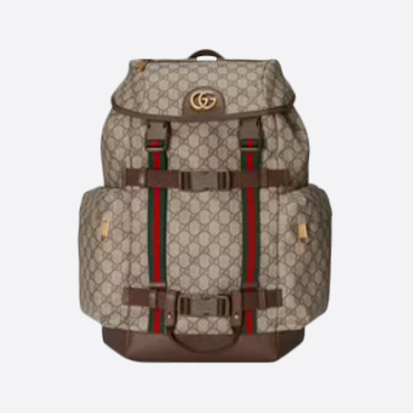 グッチWeb付きGGスケートボードバックパック 690999 97S8T 8983 画像 1