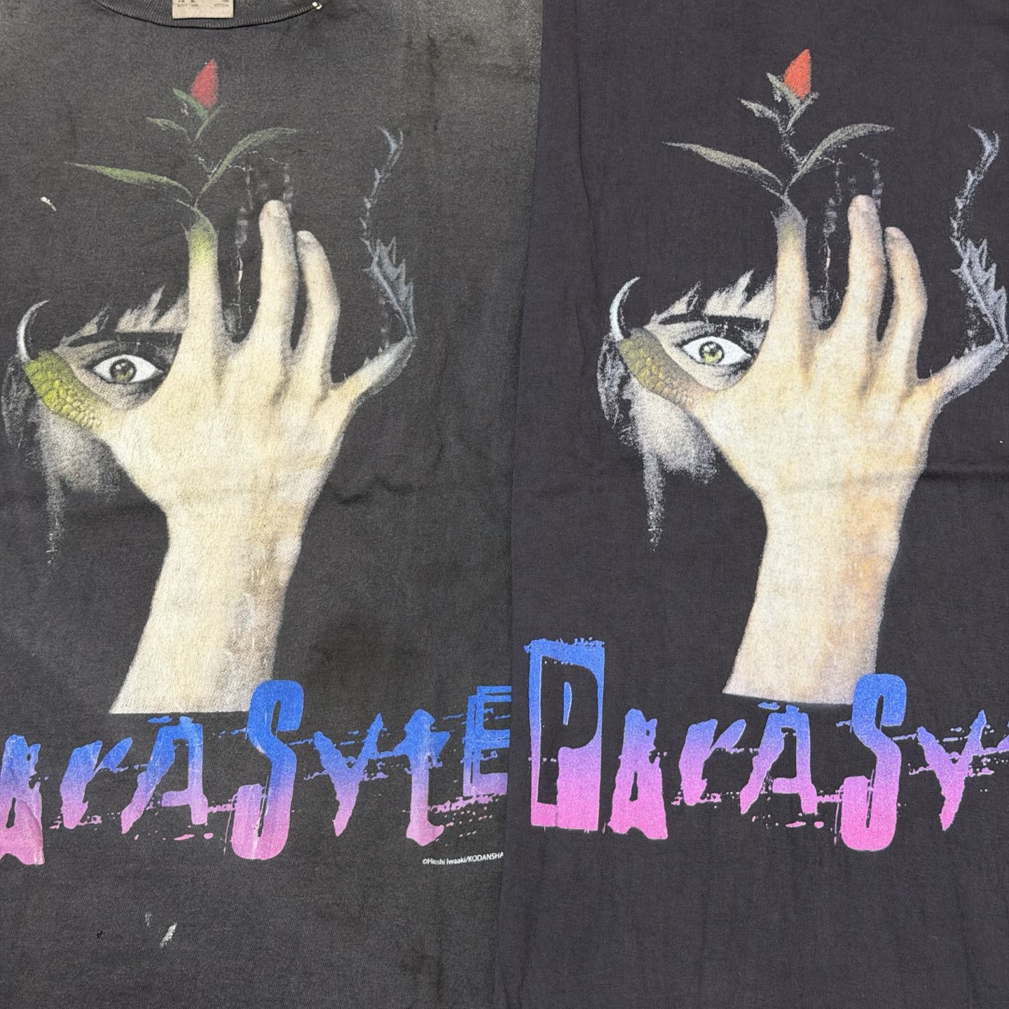 セント マイケル KJ_SS Tシャツ 寄生獣 シンイチ ブラック 詳細画像 3