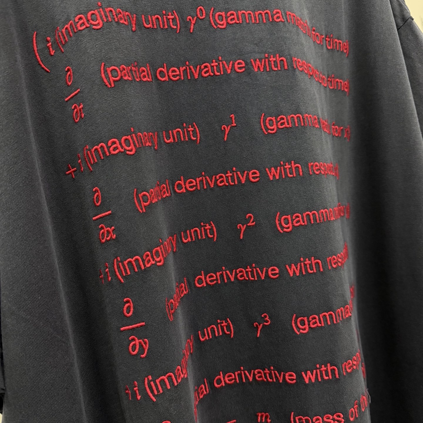 バレンシアガ バレンタイン ディラック方程式Tシャツ グレー 画像 9