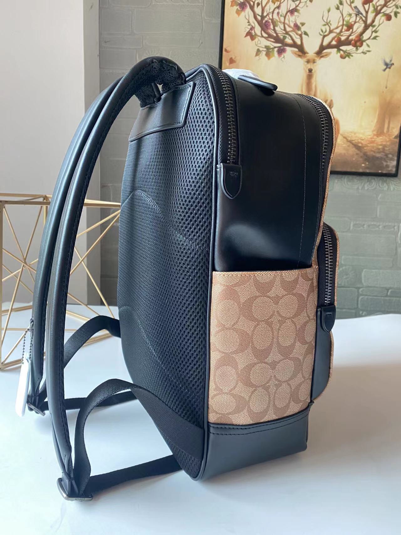 コーチ Graham バックパック シグネチャーキャンバス バーシティストライプ C2935 画像 6