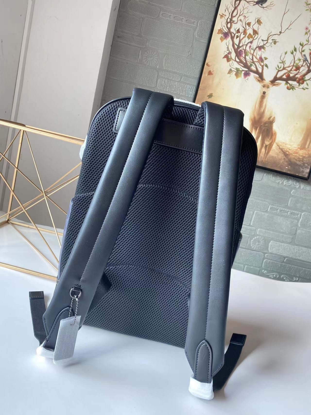 コーチ Graham バックパック シグネチャーキャンバス ブルーストライプ C3230 画像 4