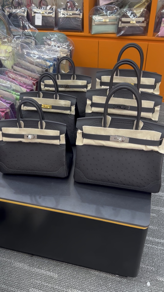 エルメス Birkin 25 オーストリッチレザー ブラック パラジウム 詳細画像 3